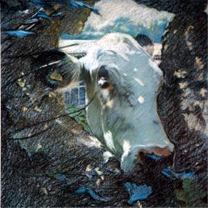 Jane German Cow Through Hole in Wall soft pastels