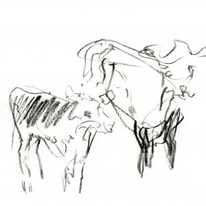 Margaret Wyllie Hereford Mother and child Suffolk Show 2016 charcoal