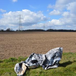 Caroline Evans - Put out to grass