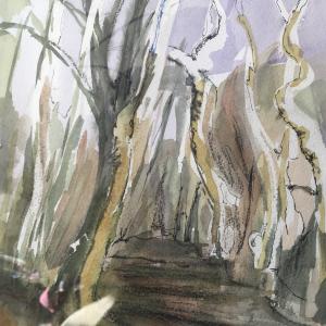 Frances Watson - Woodland