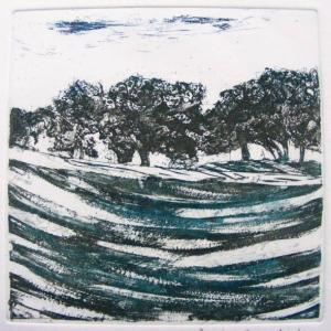 Annie brundrit Poringland Pudding Copse. Etching