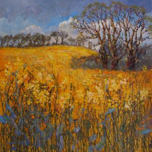 Dawn Pretty. Halesworth Splash of SuffolkAcrylic