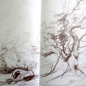 Kim Edwards. Middleton. Graphite