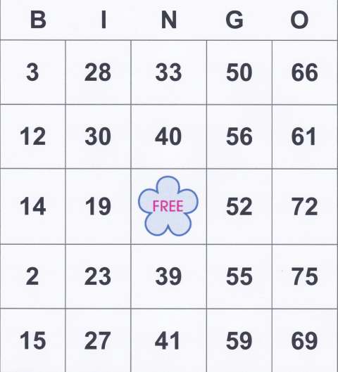 Bingo Evening - Saturday 10th January