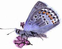 Wenhaston Commons Group AGM - Tuesday 21st October 2025