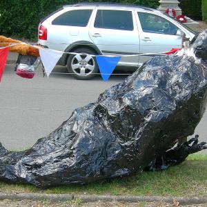 Village Show 2015 11