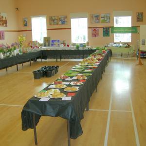 Village Show 2015 13