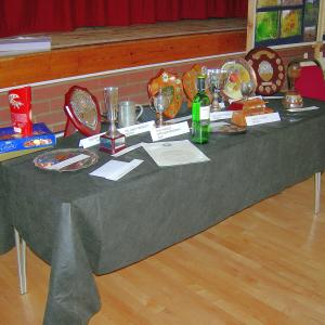 Village Show 2015 14