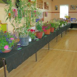 Village Show 2015 15