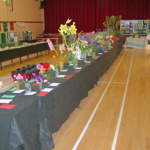 Village Show 2015 16