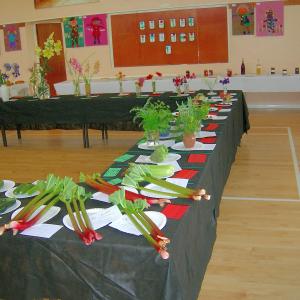 Village Show 2015 17