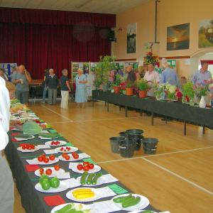 Village Show 2015 18