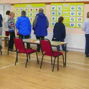 NDP Consultation20151024171134