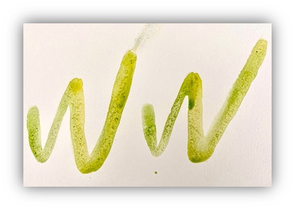 Wilder Wenhaston Garden Trail - Saturday 17th May