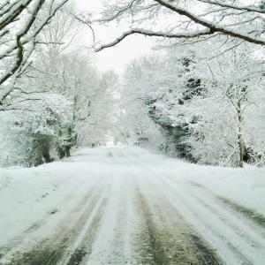 43 Leading to Blyford Copy